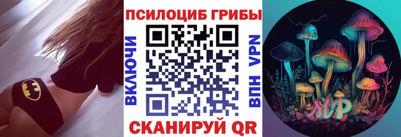 Купить  Зима  Псилоцибиновые грибы Magic Shrooms 